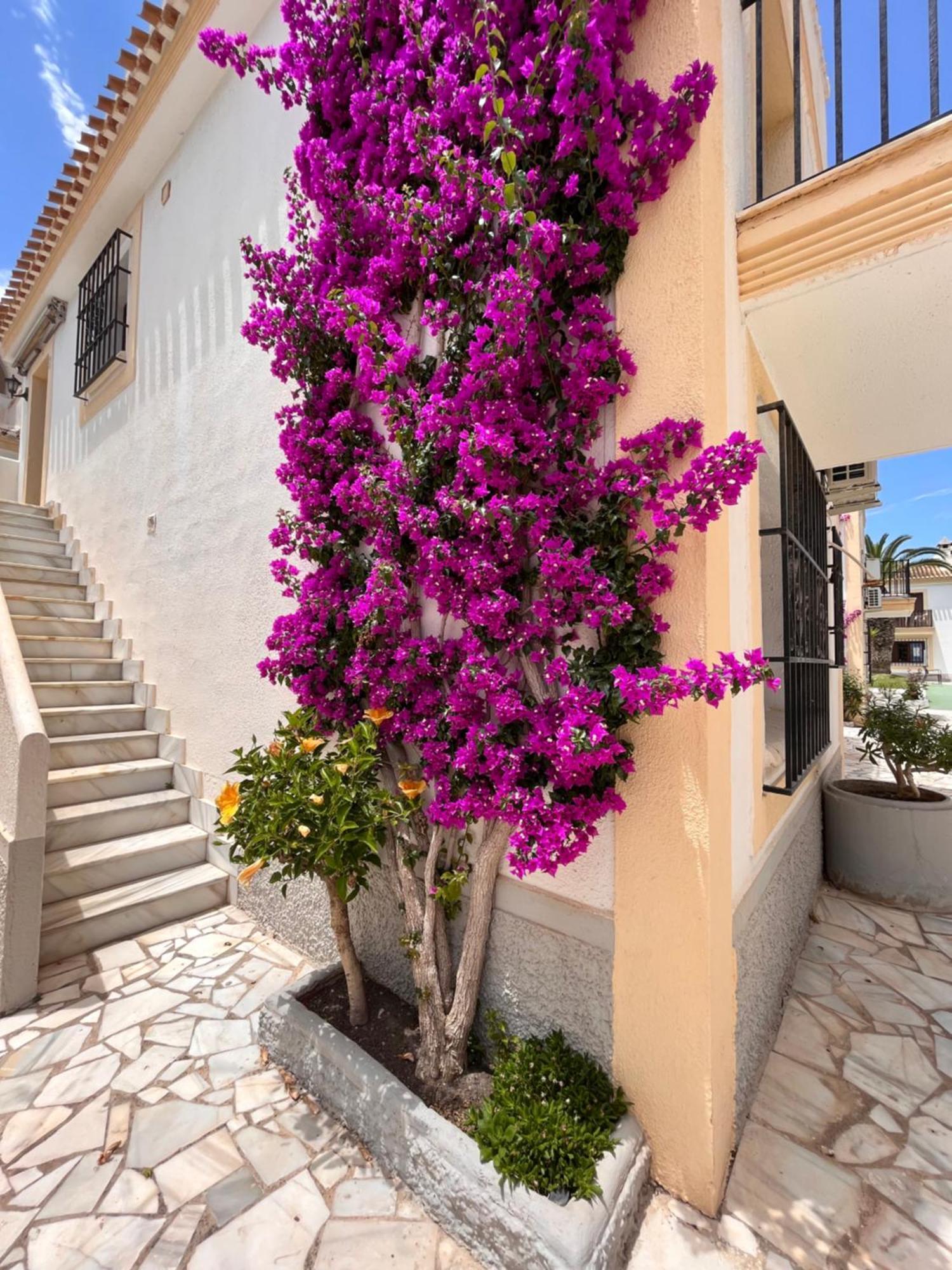 Apartamento Esquina Verde En Vera Coast Playas de Vera Εξωτερικό φωτογραφία